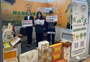 佐嘉粒米脂小米攜手2019一鄉(xiāng)一品國際商品博覽會(huì)，致力打造中國小米品牌商品批發(fā)貿(mào)易