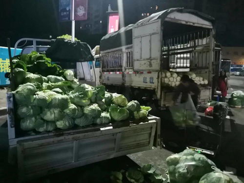 川祖廟農(nóng)貿(mào)市場整體搬遷，京投果蔬農(nóng)副產(chǎn)品批發(fā)市場引領(lǐng)忠縣商貿(mào)流通業(yè)轉(zhuǎn)型升級
